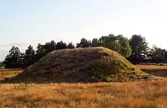 Photo d'une petite éminence couverte d'herbe.