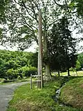 Onbashira no&nbsp;2 à Maemiya.
