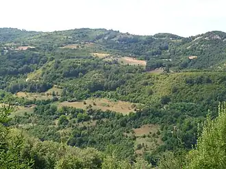 Svirce (Medveđa)