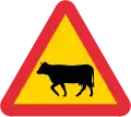 Bétail