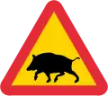 Sangliers