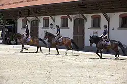 Plusieurs cavaliers au galop.