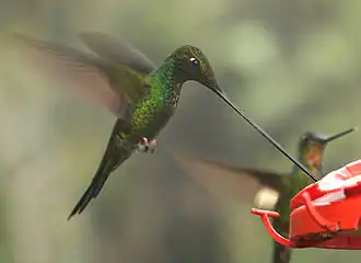 Description de cette image, également commentée ci-après