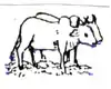 Image illustrative de l’article Parti démocrate du Terai-Madhesh