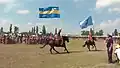 Drapeau du Pays sicule.