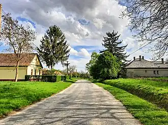 Szőke