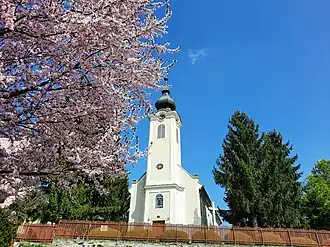 Szajk