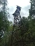 Pylône dans la forêt au-dessus des Pélerins en 2023.
