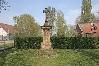 Třibřichy