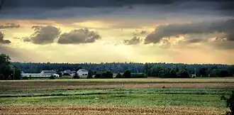 Turów (Lublin)