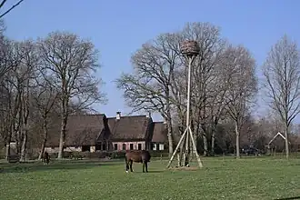Taarlo