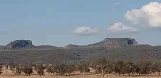 Table Top/Ettamogah