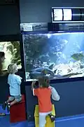 Des tabourets permettent aux enfants d'être à hauteur des bassins
