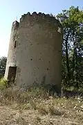 Vue rapprochée.