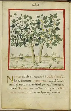 Rouen, ms. 3054