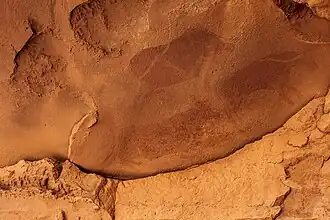 Bovins, Aoudanedj.