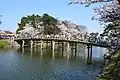 Pont Gokuraku pendant la floraison des cerisiers.