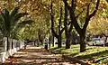 Avenue Alameda