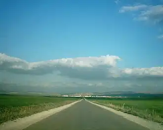 Tamlouka