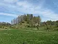 Colline de Tanis de Rauna.