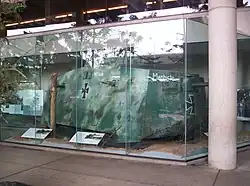 A7V no 506 Mephisto exposé à Brisbane, Australie.