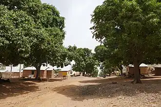 Tanongou