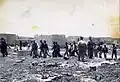 Les hommes sont séparés des femmes et conduits sous la garde armée de la brigade Alexandroni.
