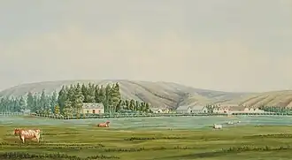 Tapanui
