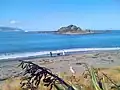 Promenade du chien sur la plage au niveau de Island Bay; le ferry Interislander et « Tapu Te Ranga Island » dans le lointain