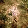 L'amas R136a est au centre de cette image captée par le Très Grand Télescope de l'observatoire européen austral. L'amas en haut à droite est Hodge 301&nbsp;(en).