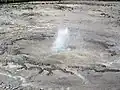 Tardy Geyser en éruption le 4 juin 2014.