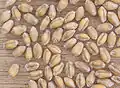 Grains de blé tendre.