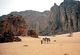 Image illustrative de l’article Sahara algérien