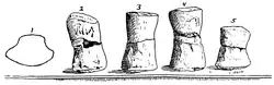 Croquis illustré par Wilbur C. Knight en 1900, montrant les diverses phalanges attribuées aujourd'hui à Tatanectes, le dessin tout à gauche montre une coupe transversale.