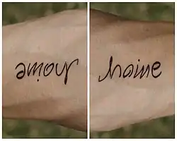 Amour / Haine, hétérogramme (le mot change) et visuel réversible au sein duquel deux interprétations cohabitent.