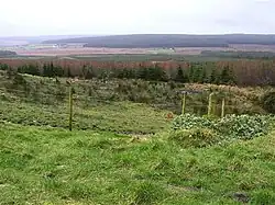 Taughboy townland.