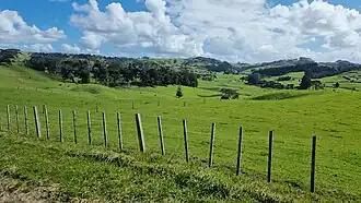 Taupaki