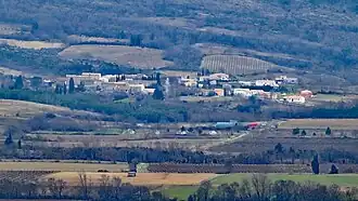 Taurize