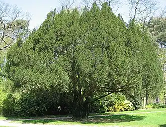 Au Jardin du Pré-Catelan.
