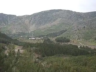 Taïnaste