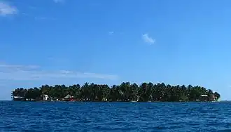 Caye Tobacco