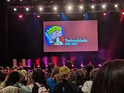 Vidéaste Web