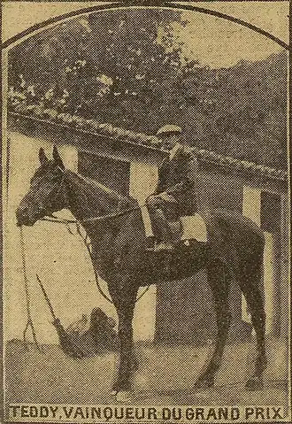 Image illustrative de l’article Teddy (cheval)