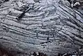 Structure diagénétique en « teepee » sur le platier supratidal, formé par augmentation de volume du sédiment à la suite de la cristallisation des carbonates (dolomie).