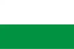 Drapeau de Tegueste