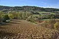 Paysage agricole près de Teilhet.