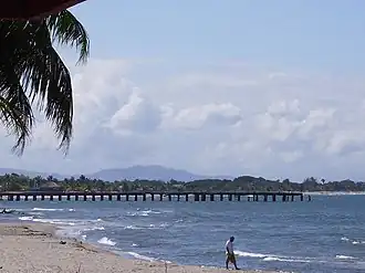 Tela (Honduras)