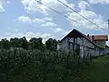 Grajdurile vechiului castel