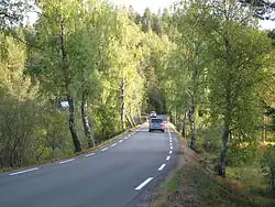 La Rv 41 à Birkenes