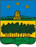 Blason de Temnikov